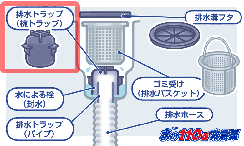 トラップのワンを取り替えよう