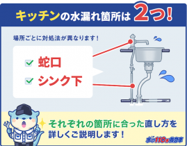 キッチンの水漏れはすぐに直せる!詳しい原因と修理法をプロがご紹介