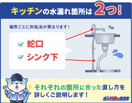 キッチンの水漏れはすぐに直せる！詳しい原因と修理法をプロがご紹介